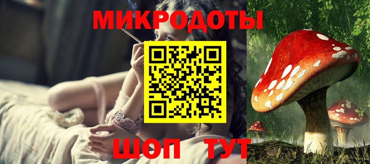 Псилоцибиновые грибы ЛСД  Вход с VPN  Находка  Галлюциногенные грибы Cubensis 