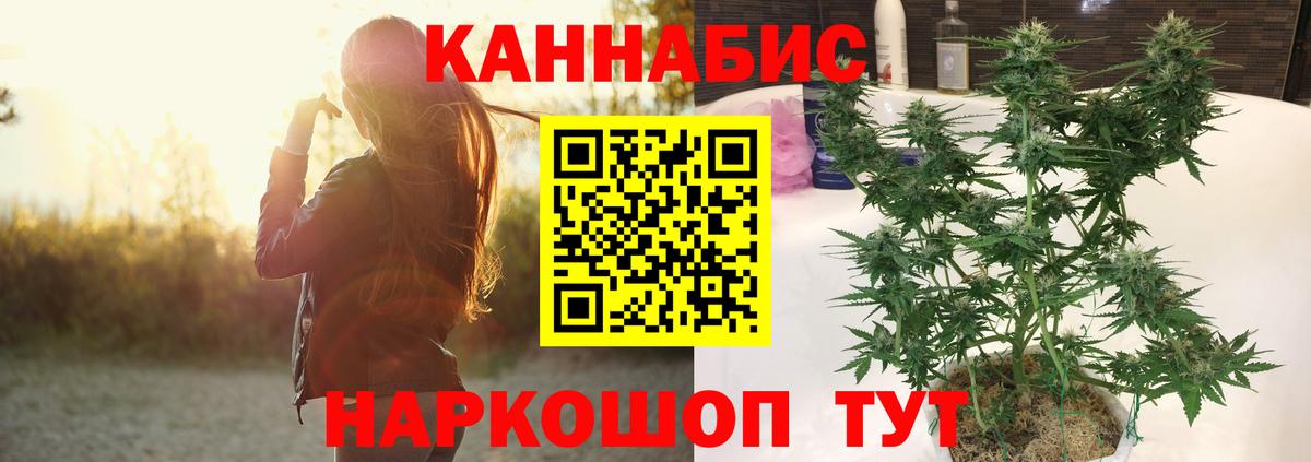 Канабис ГИДРОПОН  Марихуана Bruce Banner  Вход с VPN  Бошки марихуана план  Находка 
